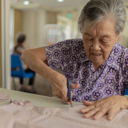 Senior Activity Centre